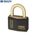 工業(yè)掛鎖|ABUS工業(yè)安全掛鎖_安全掛鎖Brass T84MB