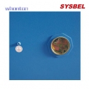 化學(xué)品安全柜|Sysbel防火安全柜_易制爆化學(xué)品柜 WA810305B