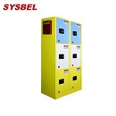 Sysbel西斯貝爾分區(qū)域存儲六門化學(xué)品安全柜WA032050