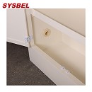 Sysbel西斯貝爾12Gal雙GA鎖強(qiáng)腐蝕性化學(xué)品儲存柜ACP810012GA
