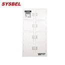 Sysbel西斯貝爾40Gal八門強腐蝕性化學品儲存柜ACP810040